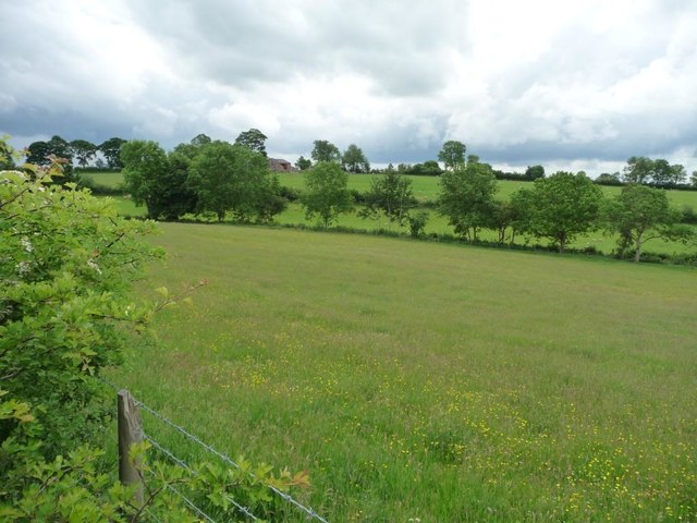 Farmland with trees, north of Hill Top Farm