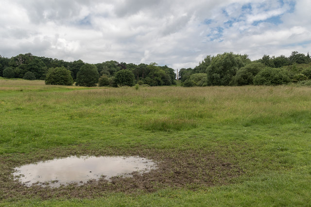 Puddle, Trent Park, Cockfosters