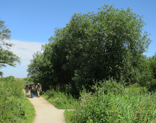 Main path, Titchwell RSPB reserve