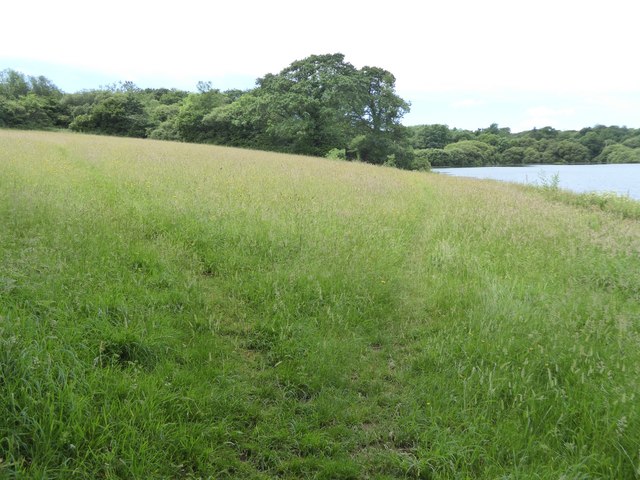 The Goodacre inlet off Roadford Lake