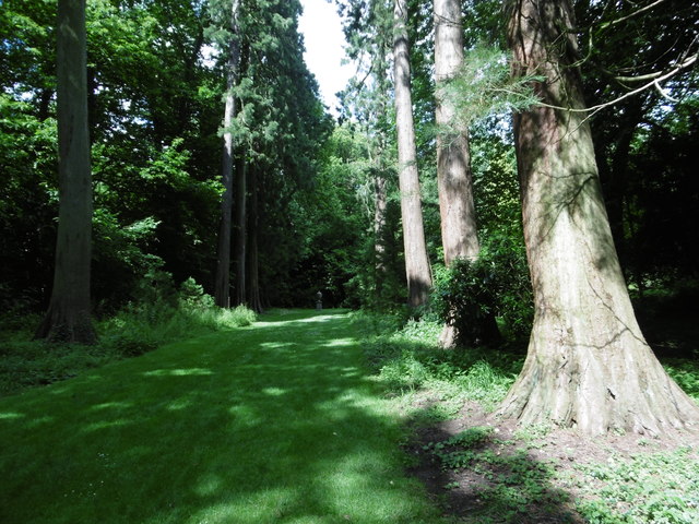 The Wellingtonia Walk at Doddington Place Gardens