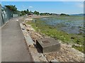 Walkway in front of Cardross Sawmill