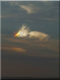 NY7169 : Feathery cloud at dusk by Karl and Ali