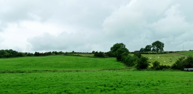 Drumlin grazing land north of the R178