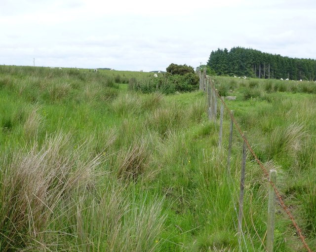 Fence on boggy corner of field © Russel Wills :: Geograph Britain and ...