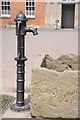 SJ5409 : Water pump, Attingham Park by Philip Halling