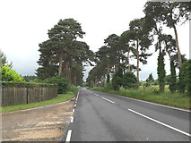 TL8882 : A1088 Thetford Road,Thetford by Geographer