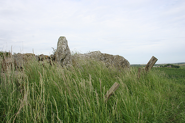 Hill of Fiddes Recumbent Stone Circle (1)