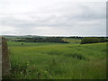 NO4235 : Farmland near Middleton by Douglas Nelson