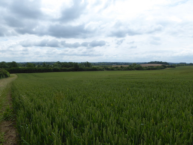 Wheatfield overlooking the Thames & Severn Canal