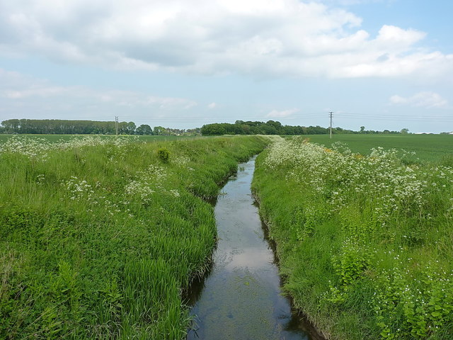Field drain near Long Lane