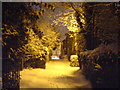 Sparrow Lane in winter