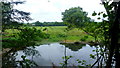 Pond at Moat Lodge