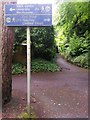 Westbourne: footpath A09 leaves the Upper Gardens