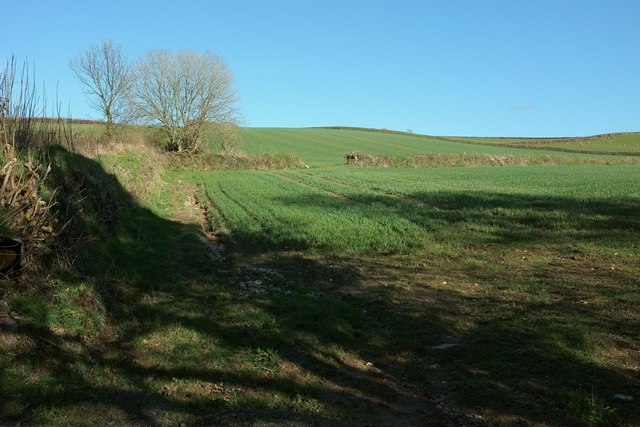 Farmland by Two Trees Road