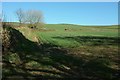 Farmland by Two Trees Road