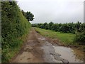 Kennel Barn Road, near Bicknor