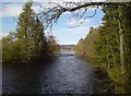 River Ness, looking downstream