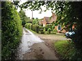 Unnamed lane, Holly Bushes, near Milstead