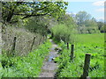 Footpath to the south of Myddelton House