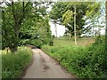 Frinsted Road, near Milstead