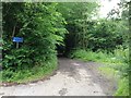 Unnamed lane leading into Trundle Wood