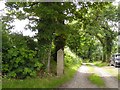 Access road to Witherdon farm and manor