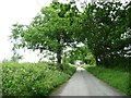 The road to Tregynon