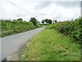 The road to Tregynon