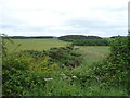 Farmland and woodland near Wrangham