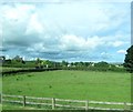 Houses on Lisnamilligan Road