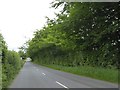 Trees shaped by the traffic on A3079 near Patchacott Cross