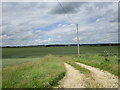 Farm track to Stephenson Wold