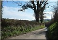 Lane to Atrim Common