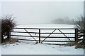 Gates into a snowy field