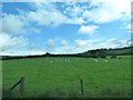 Grazing land on the south side of the B8