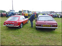 H4374 : 176th Omagh Annual Agricultural Show 2016 -42 by Kenneth  Allen