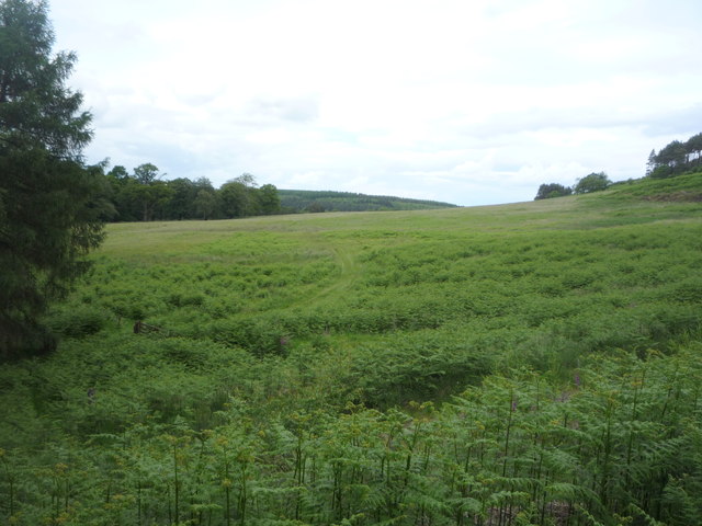 Farmland, Chillingham Park © JThomas cc-by-sa/2.0 :: Geograph Britain ...