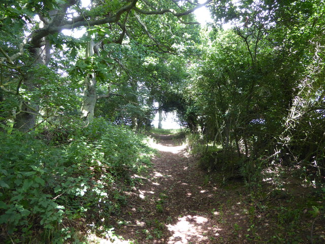 Footpath in woodland near Glebe House