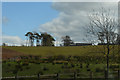 Dumfries And Galloway : Countryside Scenery