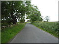 B6347 towards Alnwick 