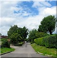 Coxham Lane, Steyning