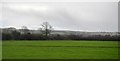 Farmland, Chapelwick Farm