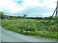 H8703 : Minor road at its junction with the R178 at Kennellyduff, Co Monaghan by Eric Jones