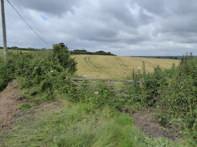 Field between Barn Close Lane and Stepps Road