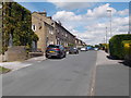 Hazel Grove - viewed from Bent Lane