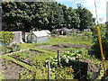 Allotments - Bridge Road