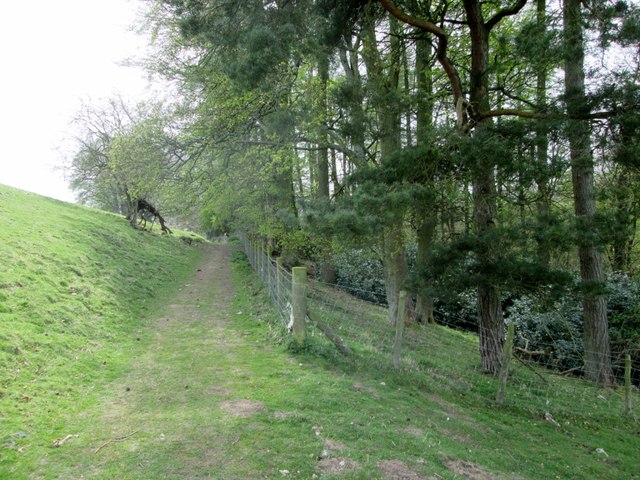 Trope  Lane  (track)  at  the  corner  of  Sampson's  Wood