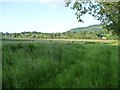 Looking east across the Severn valley