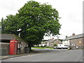 Village centre tree at Askham